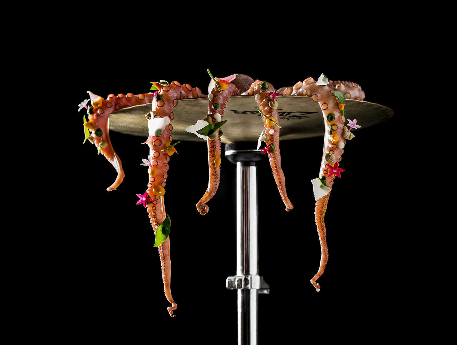 Guy_Savoy_Octopus_hihat_cymbal_drums_tentacles