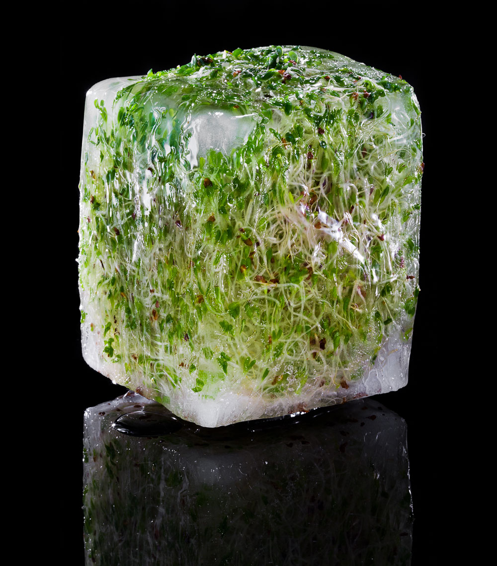 Ice-Cube_169
