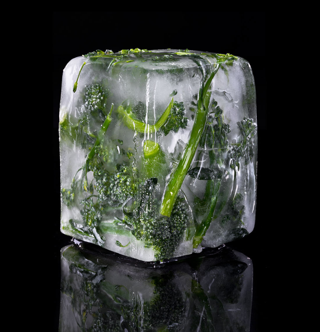 Ice_Cube_Broccolini