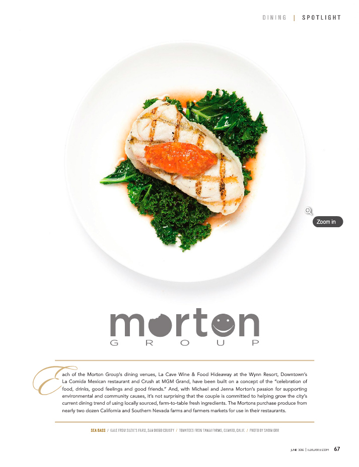 Morton_Group_Fish