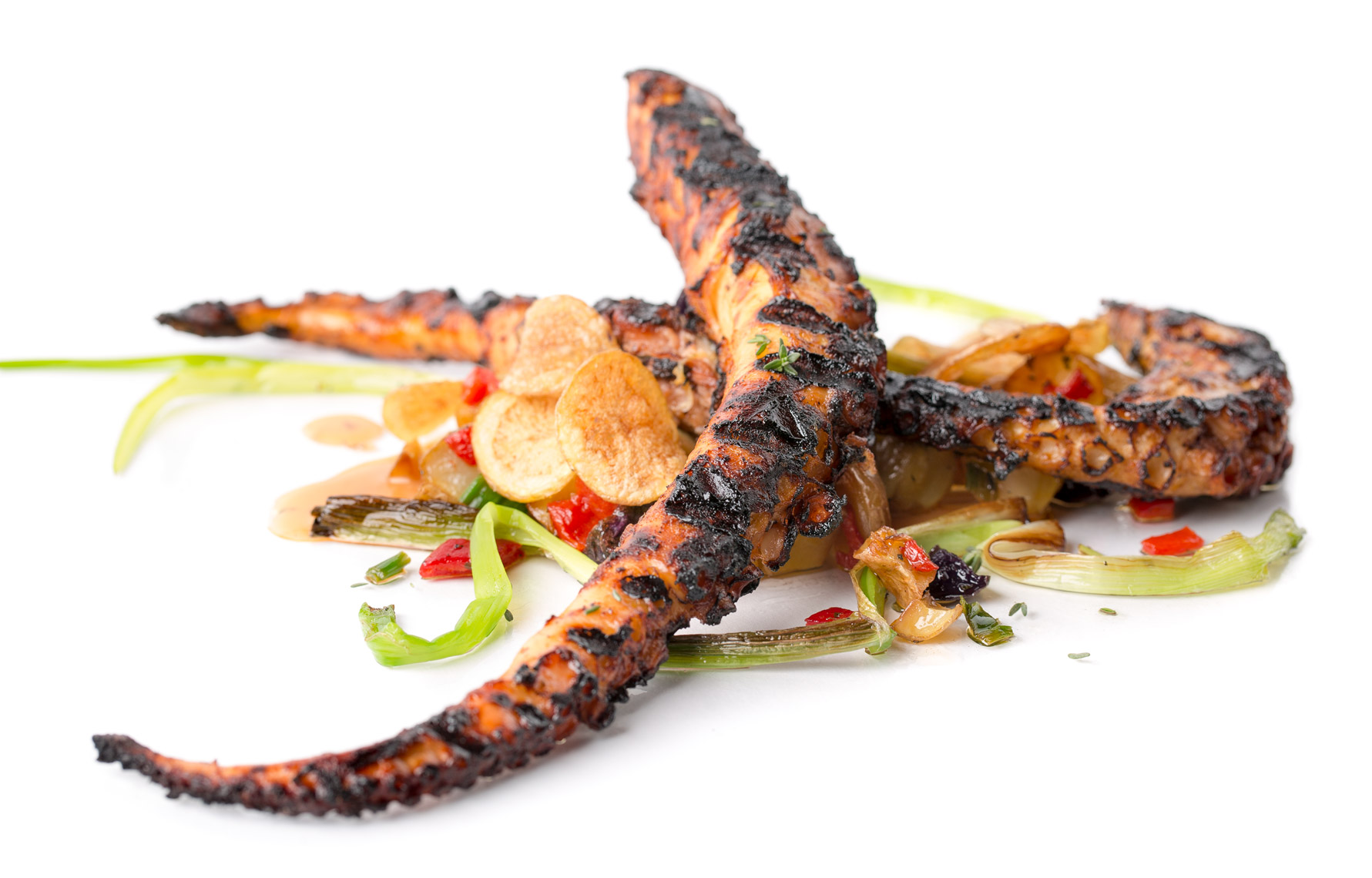 Octopus_SabinOrr