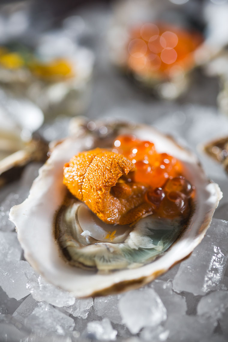 Oysters_031