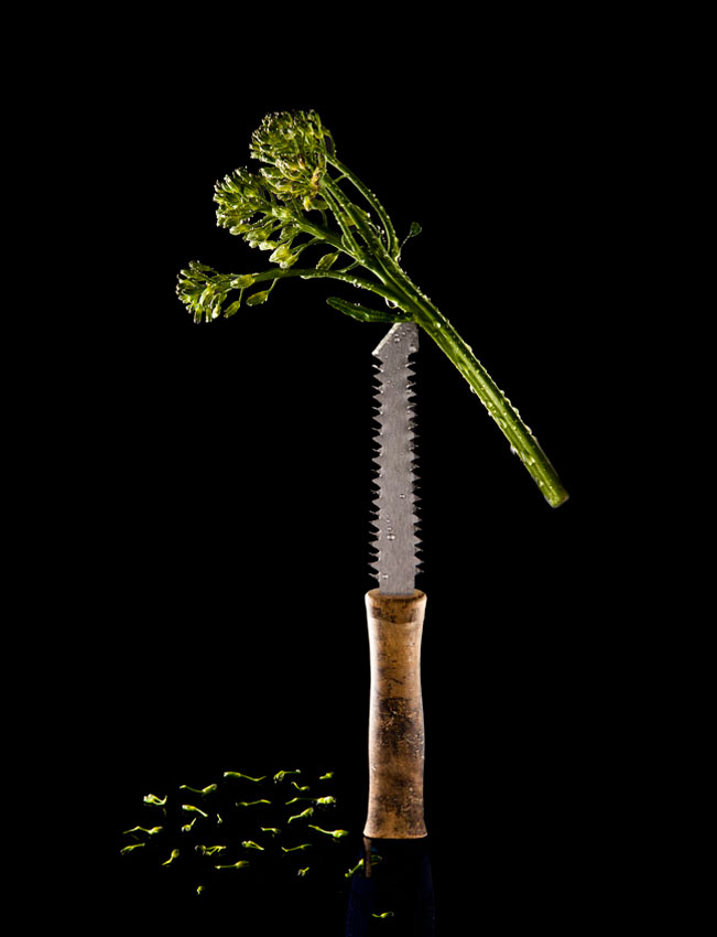 Two_Sided_Saw_Broccolini