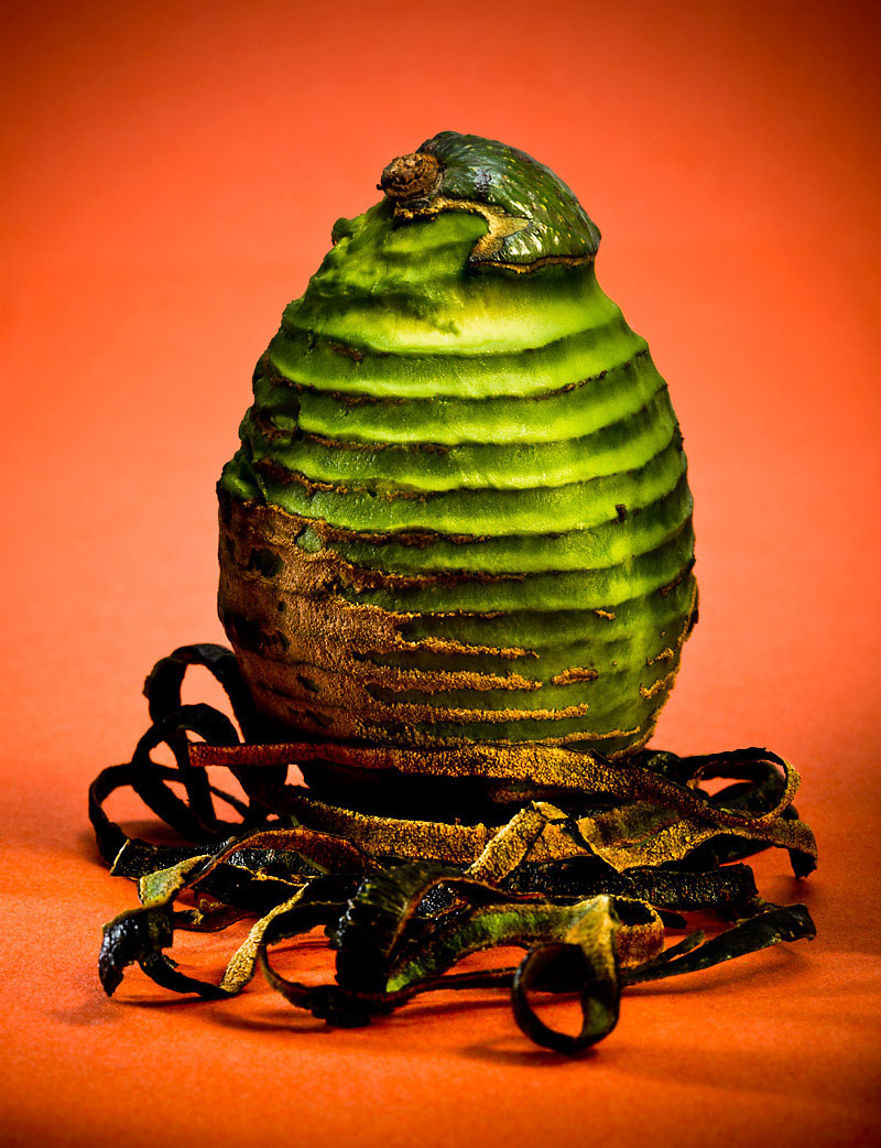 avacado_030Final
